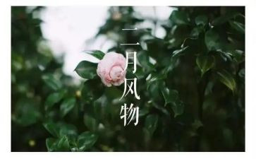 幼儿园二月份工作总结模板8篇