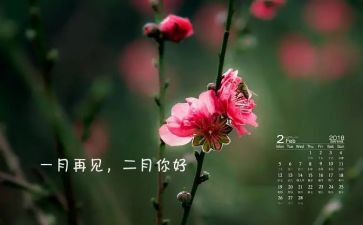 大班十二月工作总结6篇