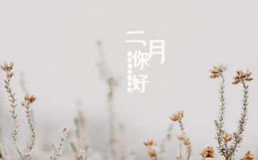 二月份教师月工作总结8篇