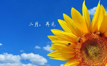 小班二月工作总结6篇