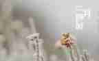 幼儿园中班二月份工作总结5篇