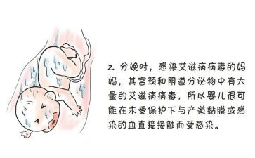 防艾滋病演讲稿最新5篇