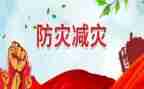 2023年医师述职报告6篇