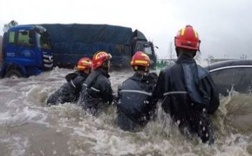 《昆虫记》前四章读后感推荐5篇