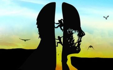 按规律排序教案反思6篇