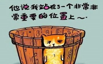 数与量教案反思推荐5篇