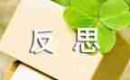 工作总结的总结反思5篇