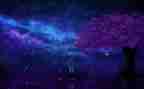 繁星·春水读后感800字7篇