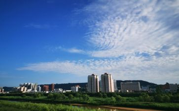 与我同行演讲稿5篇
