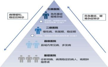 三规定心得体会6篇