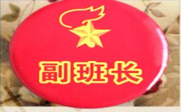 副班长心得体会优秀5篇