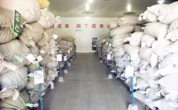 《红楼梦》读书心得体会参考6篇
