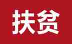 2扶贫工作计划精选5篇