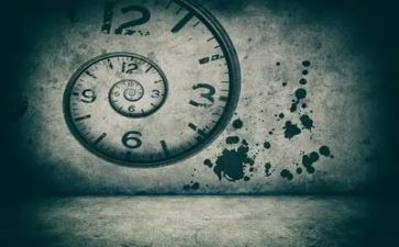 总监的个人述职报告5篇