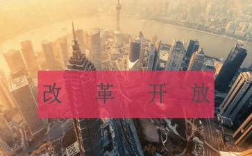 改革办的工作总结6篇