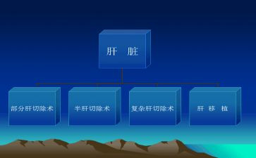 2023年双11调研报告精选8篇