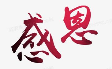 感恩活动的总结模板8篇
