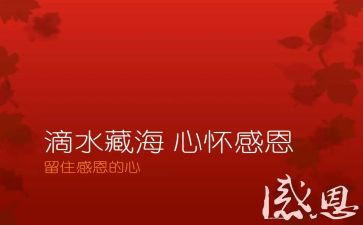 公司感恩会心得体会6篇