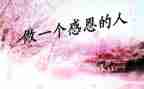 感恩有工作总结6篇