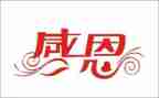 感恩活动心得体会优质6篇