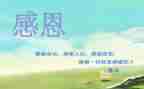 感恩的心作文模板8篇