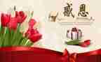作文感恩800字优质6篇