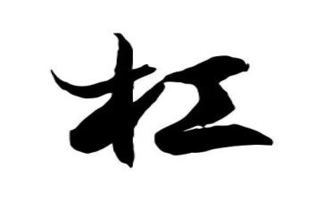 被告山杠爷的观后感6篇