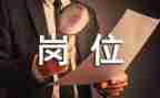 财务岗位实习报告模板6篇
