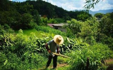 下学期大班工作计划推荐5篇