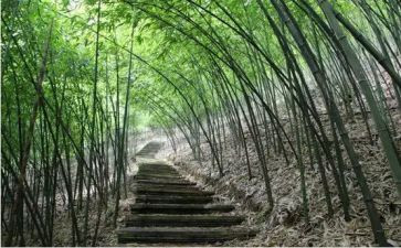 2023少年宫活动总结推荐7篇