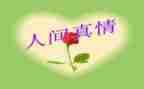 公司出纳年终工作总结最新5篇
