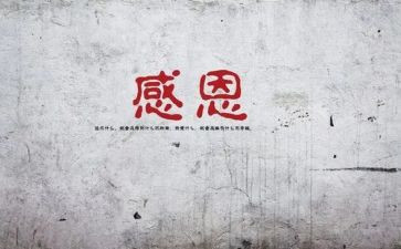 对老师的感谢演讲稿参考8篇