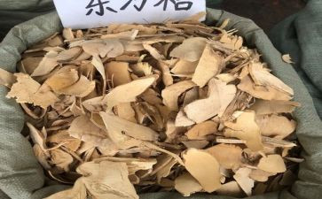 个人年终工作总结2023模板8篇