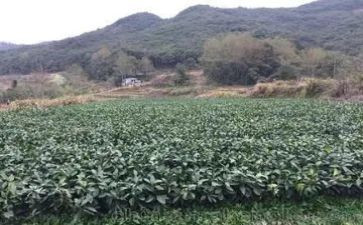 中学双减心得体会7篇