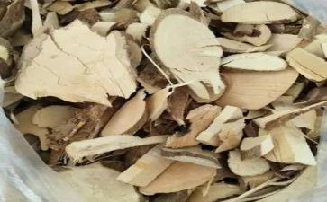 《美丽心灵》的观后感8篇