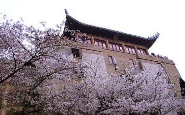 个人周工作计划样本7篇