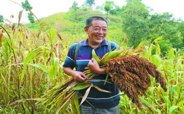 红高粱莫言读后感7篇