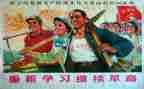 关于革命的书的读后感7篇