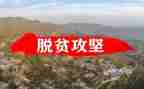 脱贫攻坚感悟与心得体会7篇