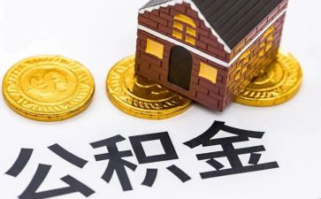 2023年上半年总结范文5篇