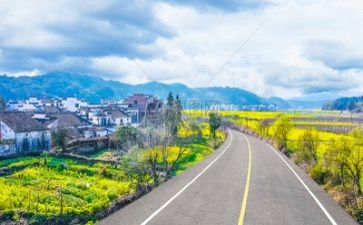 5实训心得体会800字8篇