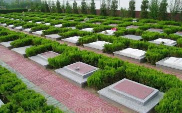 2022年食药品工作计划8篇