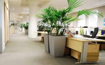 建筑模板公司年终总结5篇