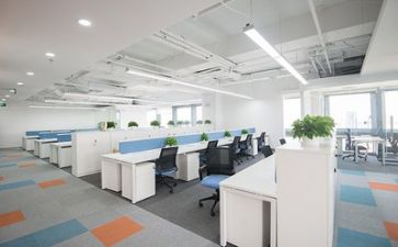 公司个人简历6篇