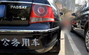 新公务员培训工作总结6篇
