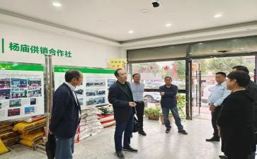 2022促销员年终总结7篇