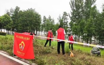 2023年班主任个人工作总结8篇