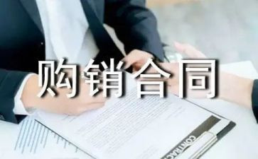 导购销售的心得体会5篇