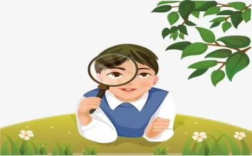二上观察物体教学反思6篇