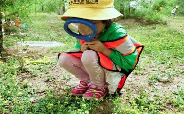 观察幼儿园的心得体会7篇